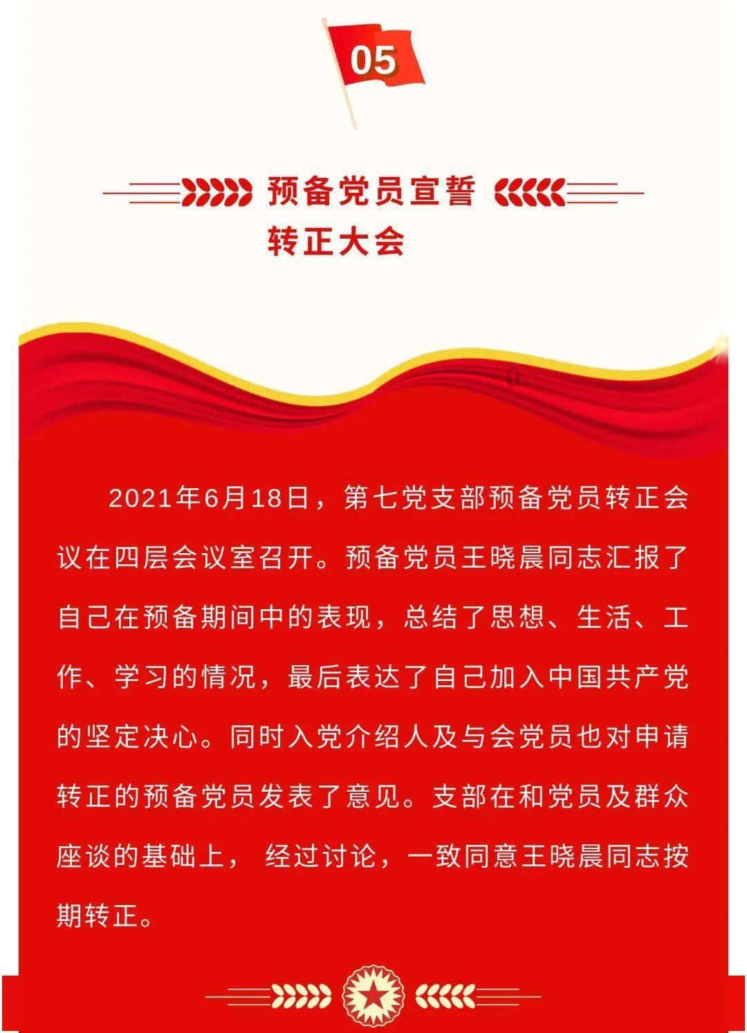 拯救受伤的猫